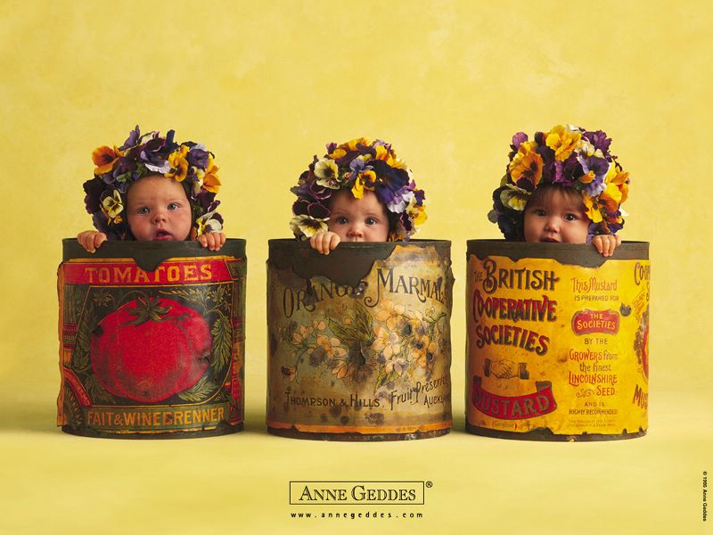 anne geddes wallpapers. ~Anne geddes holiday wallpaper :: ann geddes choclate photos~ ~anne geddes