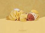 Anne Geddes : bb dort